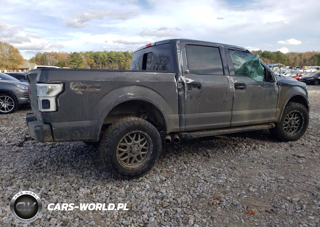2018 Ford F150 Supercrew VIN:1FTEW1EG7JFB59533 - 3