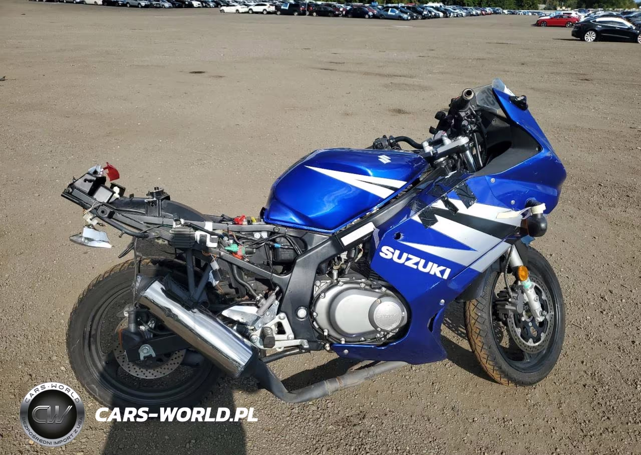 2004 Suzuki Gs500 Fk – zdjęcie 1 z 8