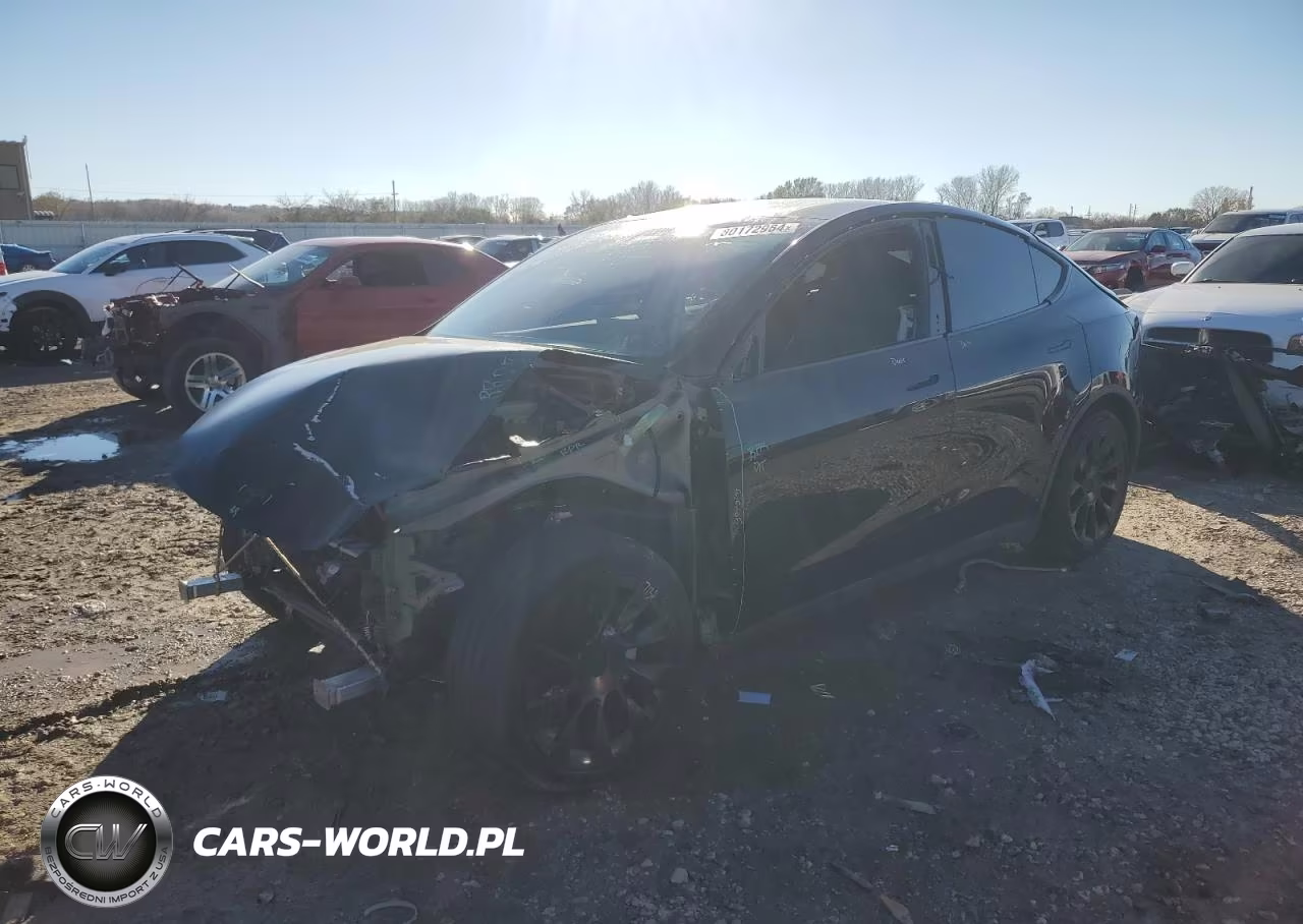2020 Tesla Model Y