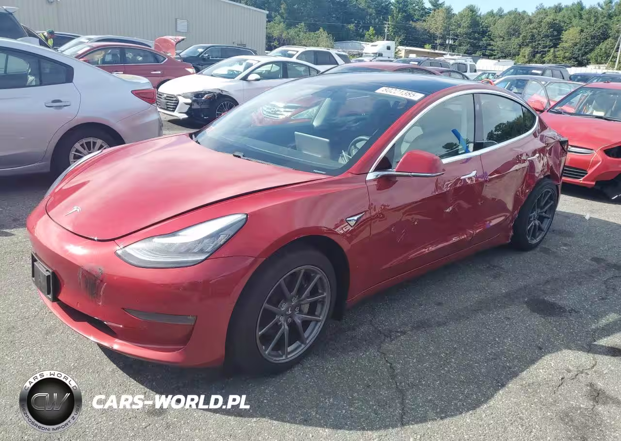 2019 Tesla Model 3