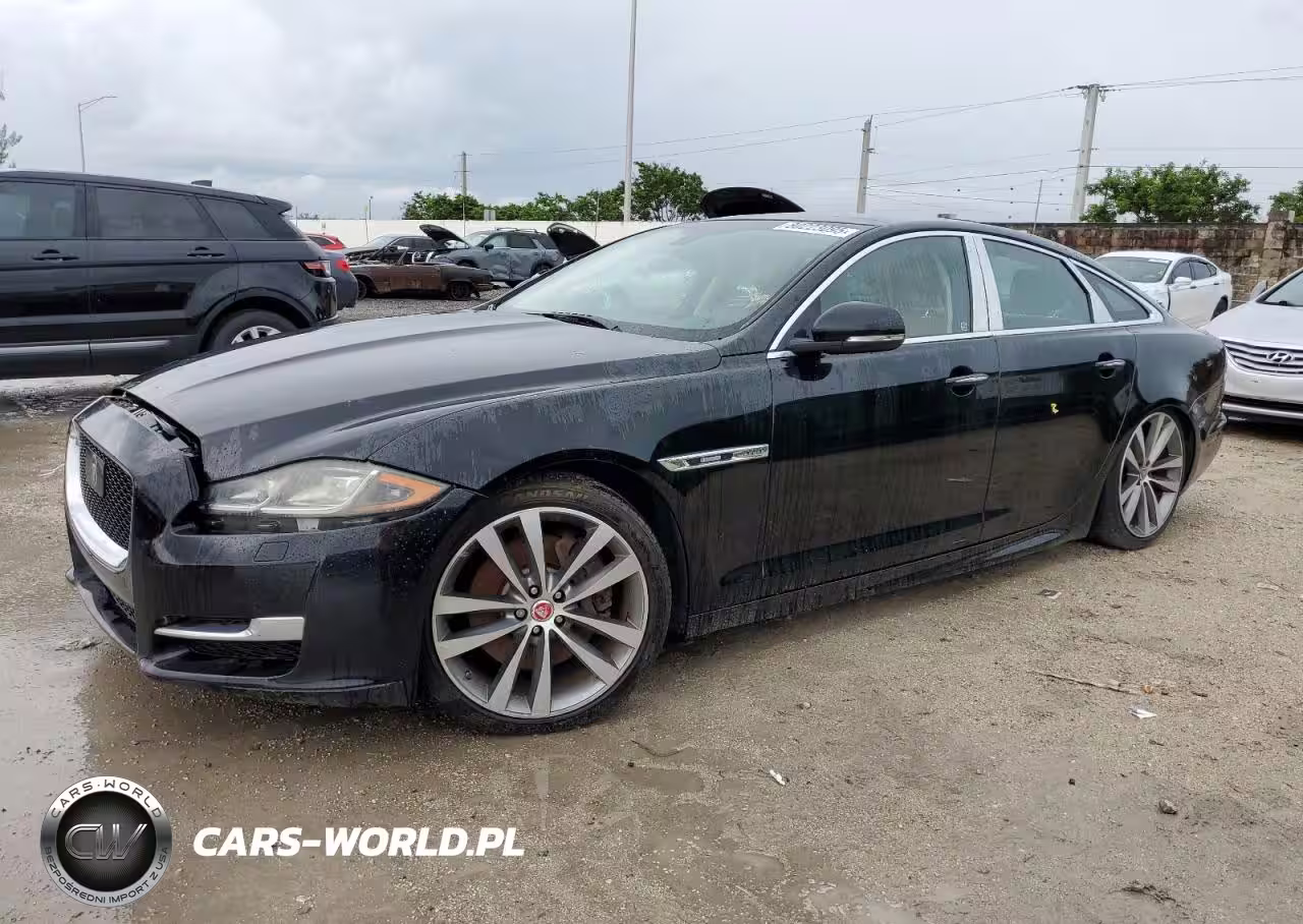 JAGUAR
