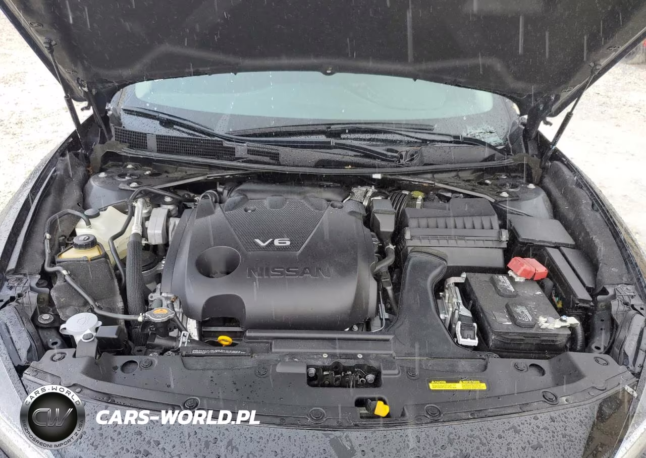 NISSAN MAXIMA SL VIN:1N4AA6DV7LC383356 - 11