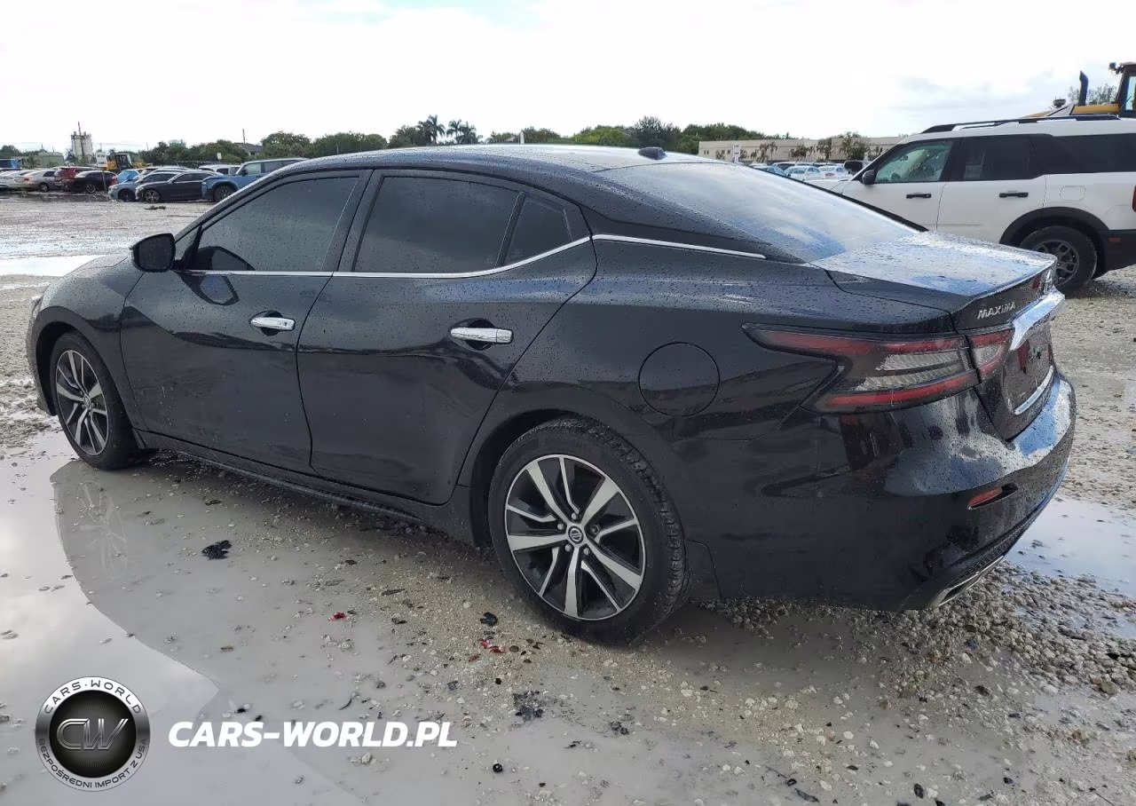 NISSAN MAXIMA SL VIN:1N4AA6DV7LC383356 - 2