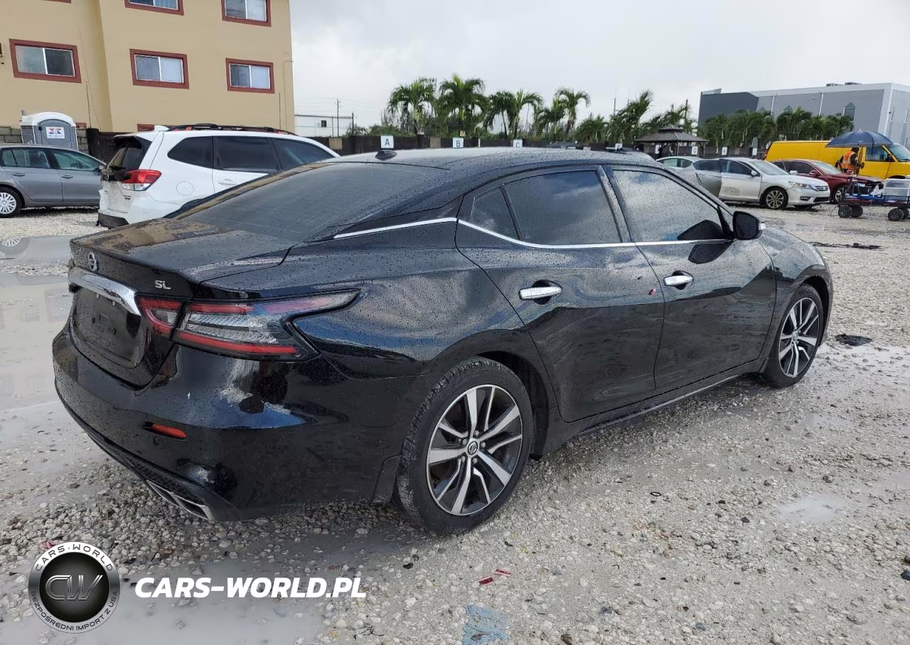 NISSAN MAXIMA SL VIN:1N4AA6DV7LC383356 - 3