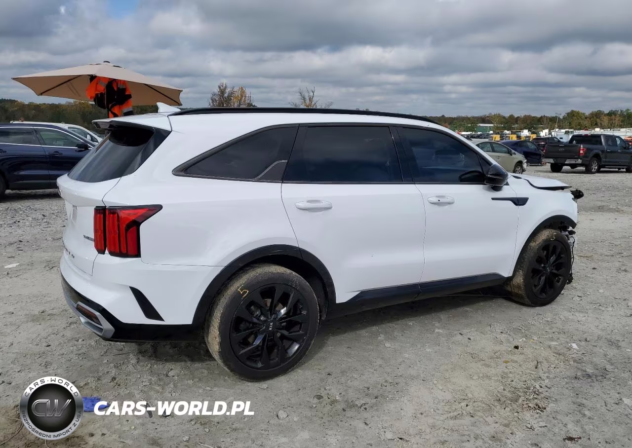 2021 Kia Sorento Sx VIN:5XYRK4LF5MG057495 - 3