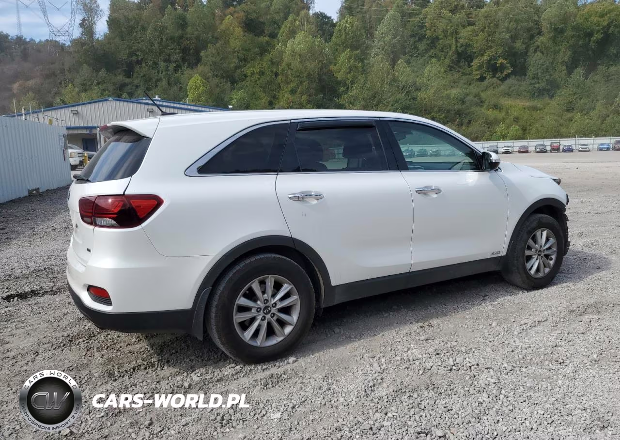 2019 Kia Sorento L VIN:5XYPGDA30KG573844 - 3