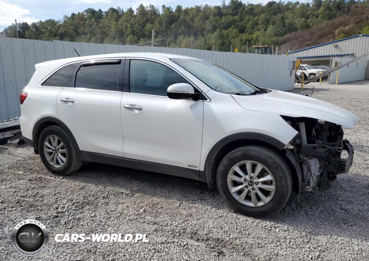 2019 Kia Sorento L VIN:5XYPGDA30KG573844 - 4