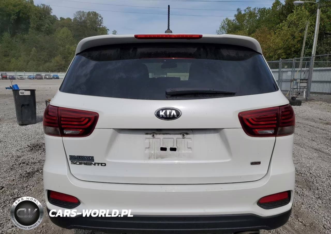 2019 Kia Sorento L VIN:5XYPGDA30KG573844 - 6