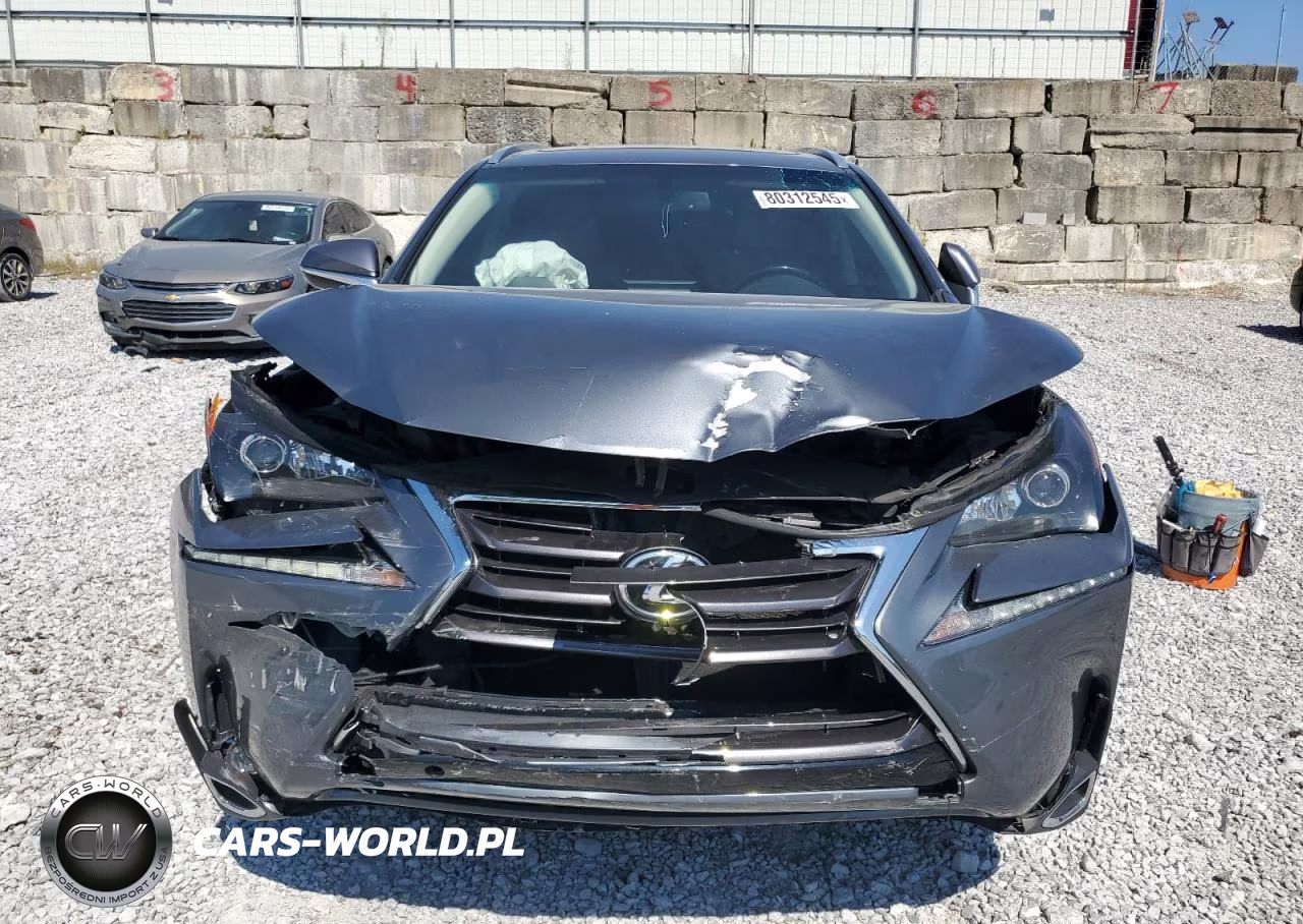 2015 Lexus Nx 200T VIN:JTJBARBZ0F2009698 - 5