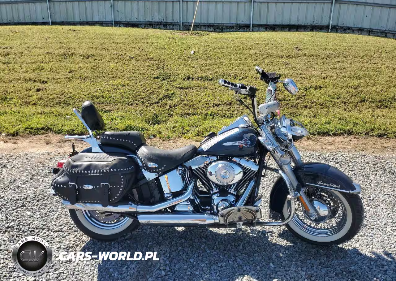 2004 Harley-Davidson Flstci