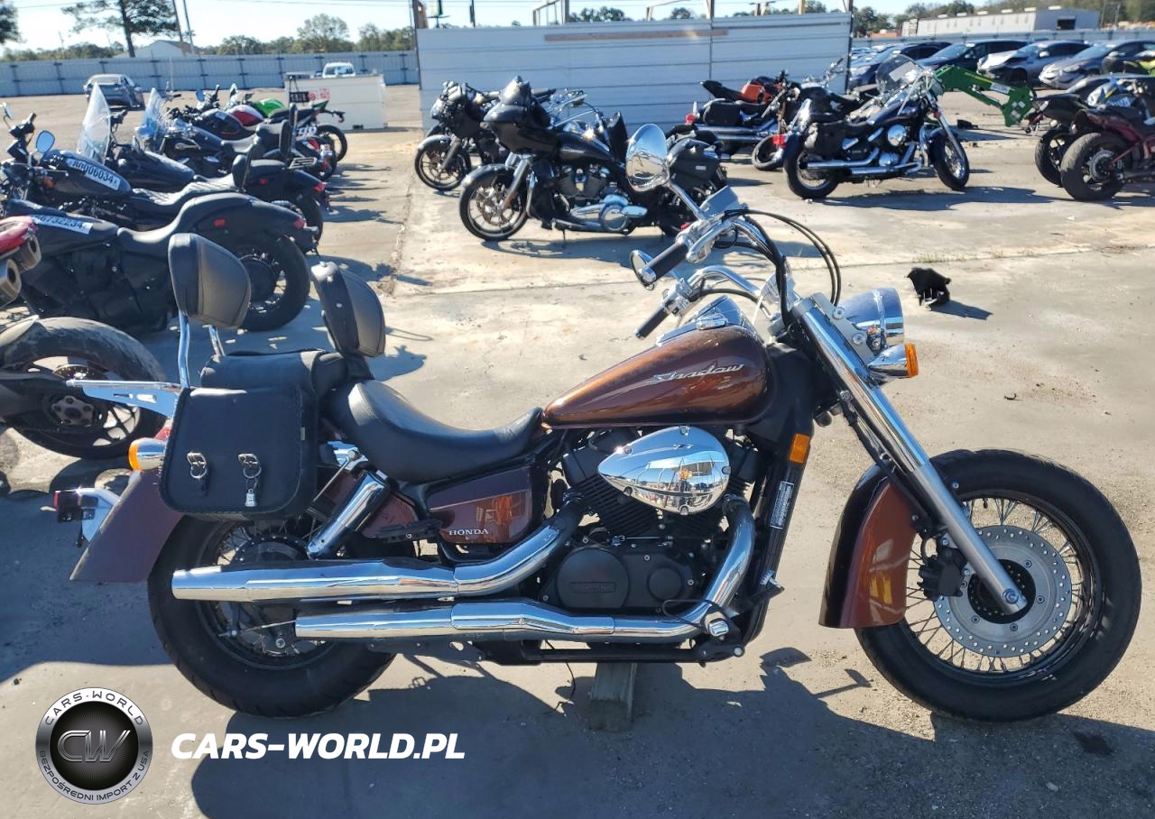2018 Honda Vt750 C