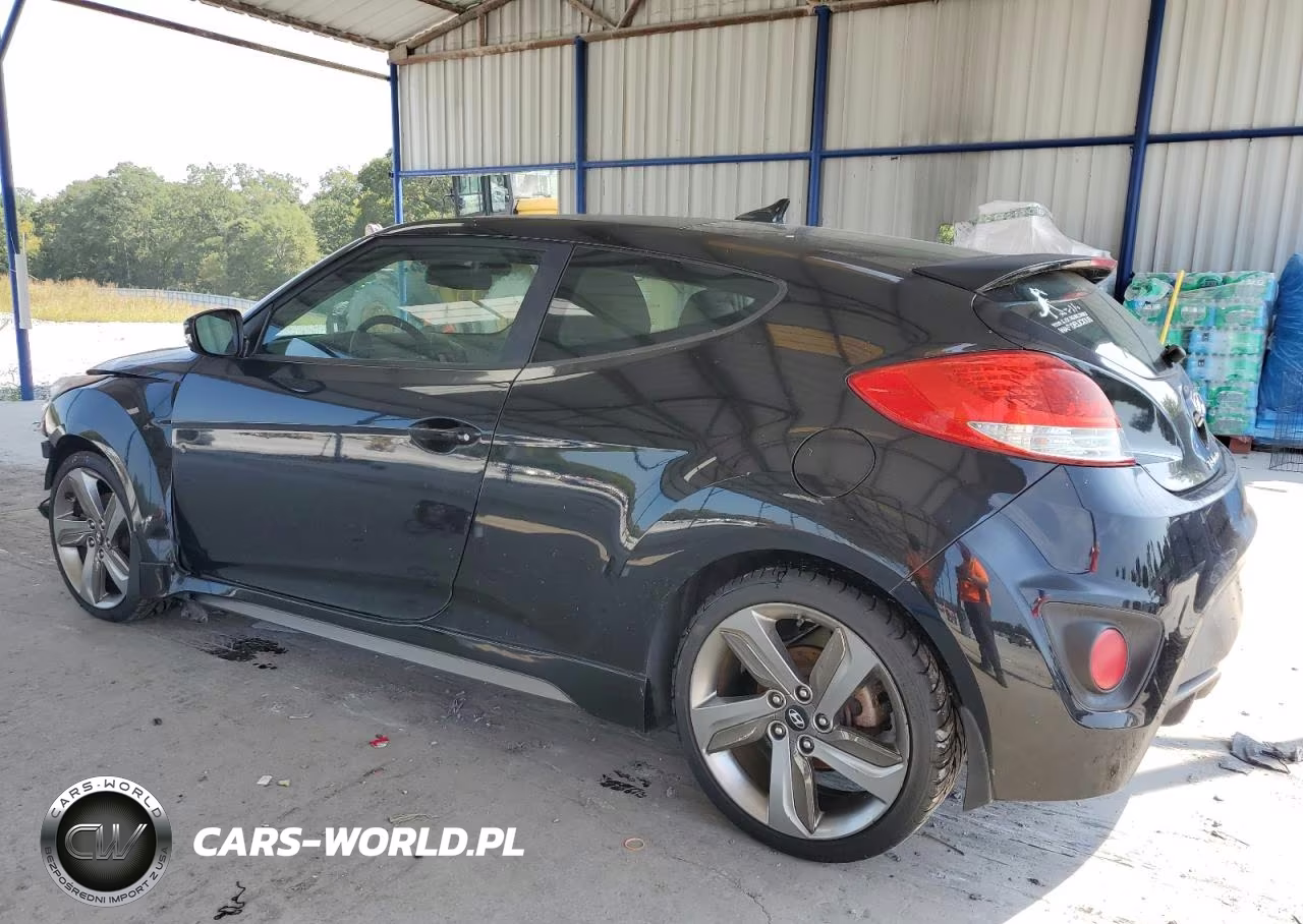 2013 Hyundai Veloster Turbo VIN:KMHTC6AE1DU176924 - 2