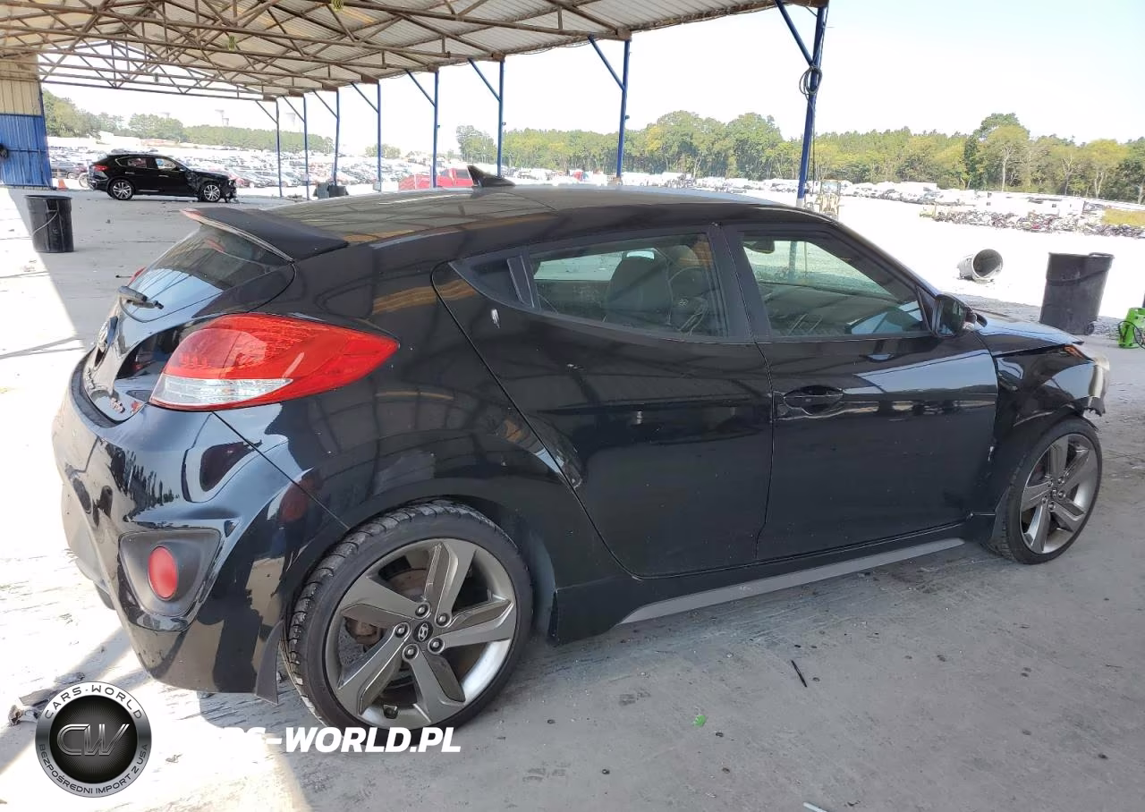 2013 Hyundai Veloster Turbo VIN:KMHTC6AE1DU176924 - 3