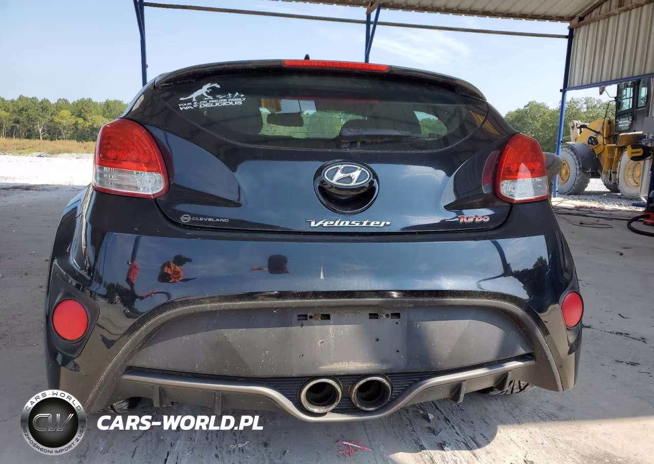 2013 Hyundai Veloster Turbo VIN:KMHTC6AE1DU176924 - 6