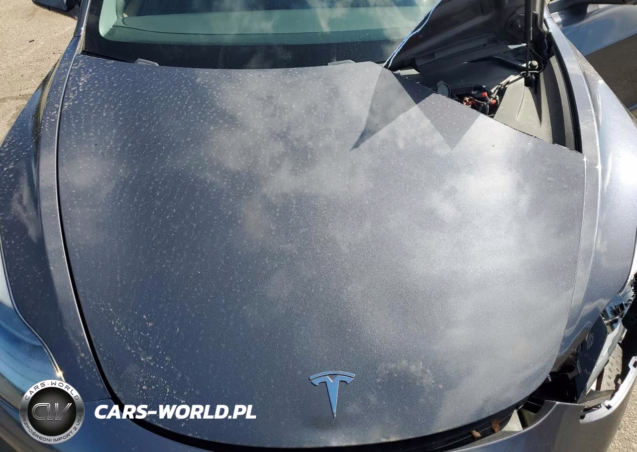 2021 Tesla Model 3 VIN:5YJ3E1EA5MF046629 - 11