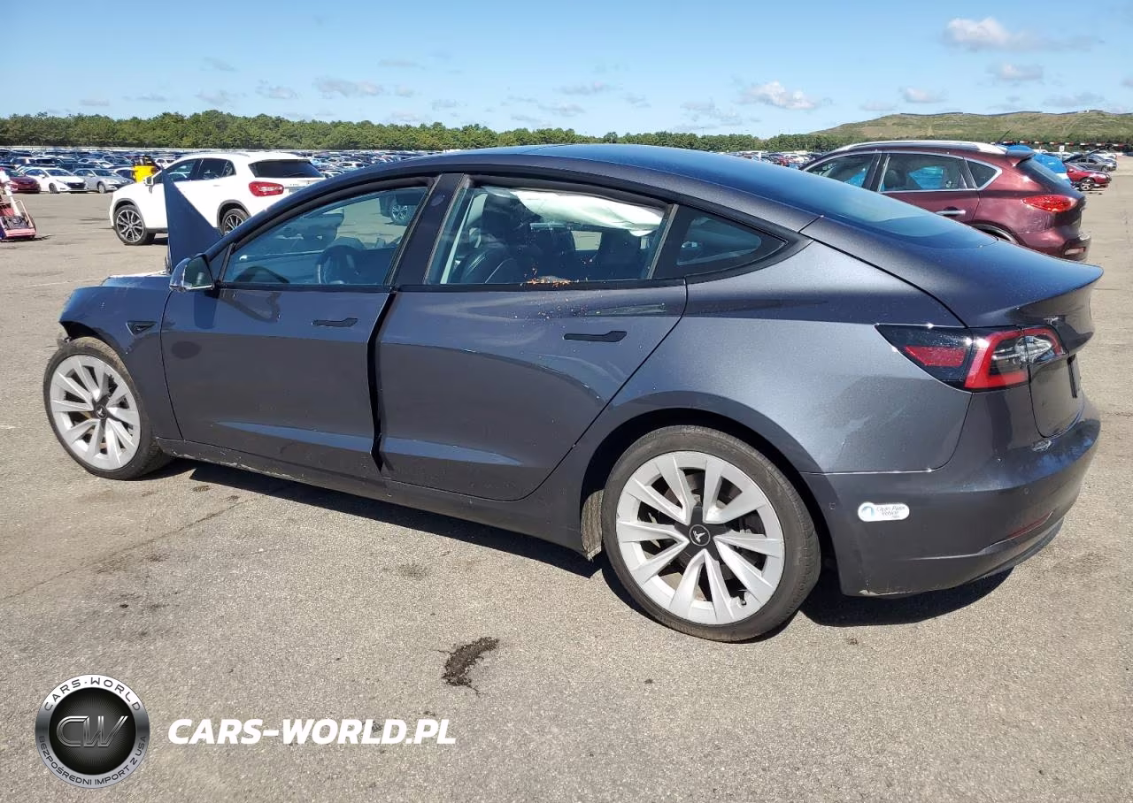 2021 Tesla Model 3 VIN:5YJ3E1EA5MF046629 - 2
