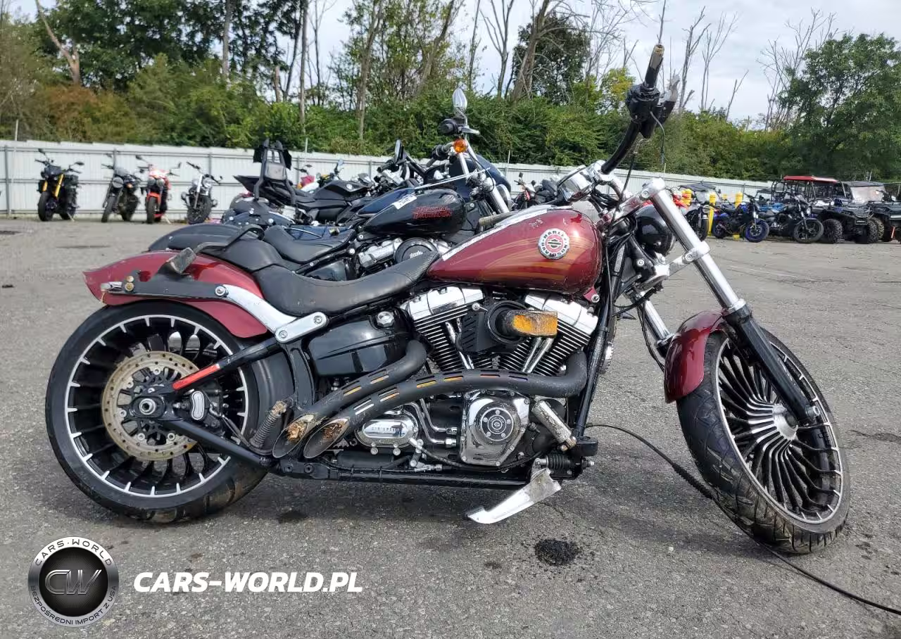 2017 Harley-Davidson Fxsb Breakout