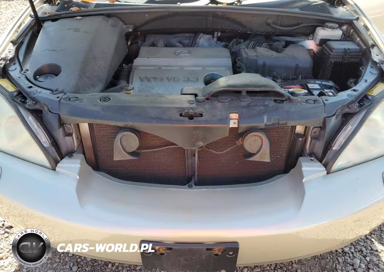 2004 Lexus Rx 330 VIN:2T2HA31U64C028914 - 12