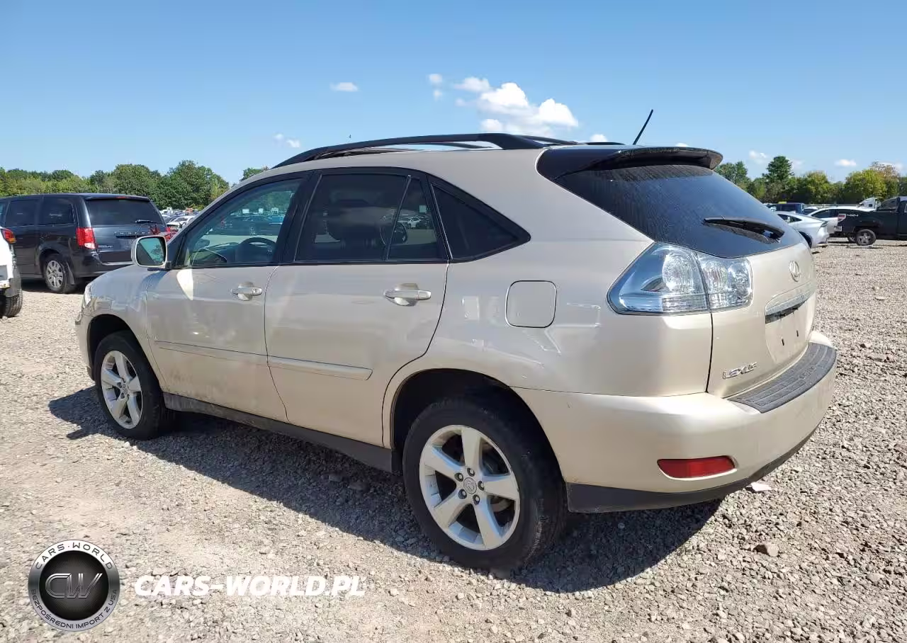 2004 Lexus Rx 330 VIN:2T2HA31U64C028914 - 2