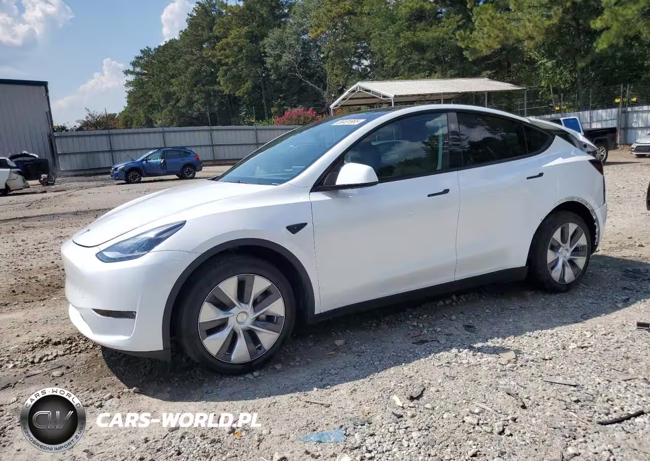 2024 Tesla Model Y