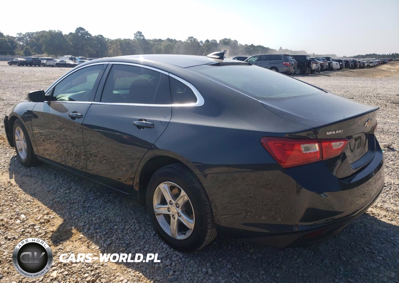 2019 Chevrolet Malibu Ls VIN:1G1ZB5ST3KF193467 - 2