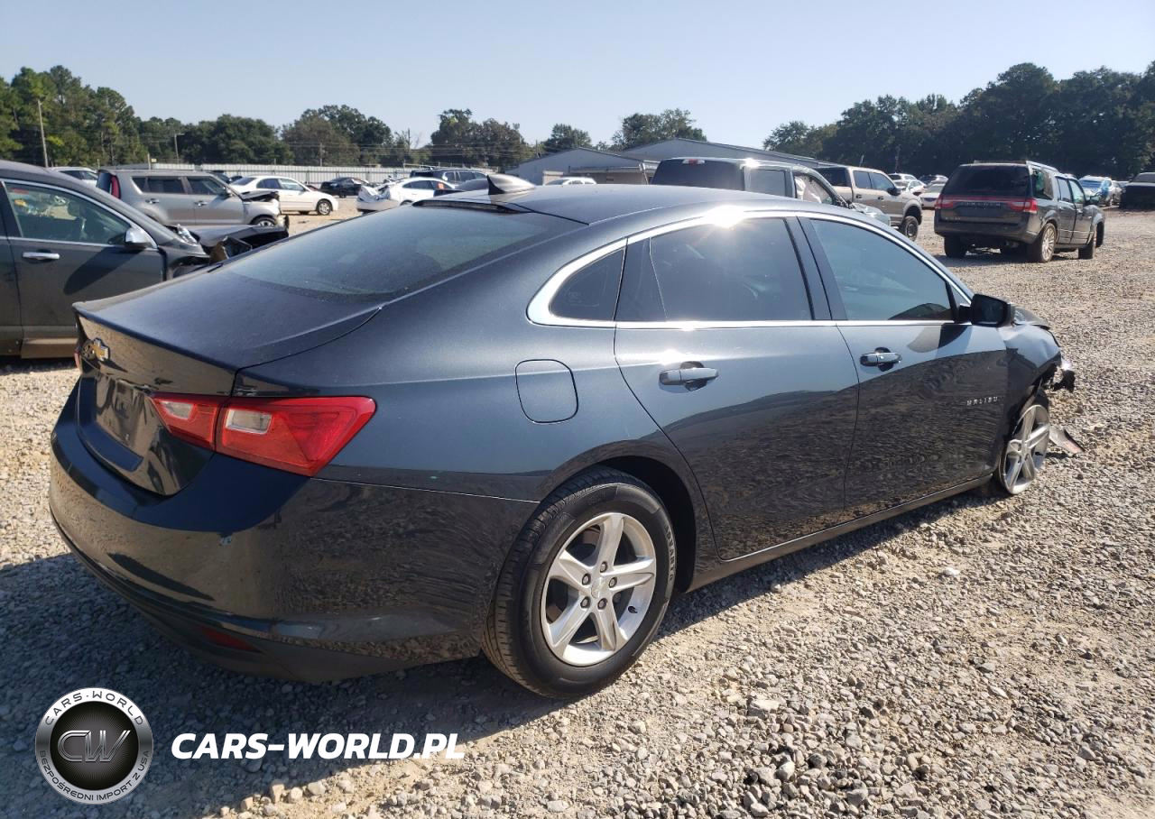 2019 Chevrolet Malibu Ls VIN:1G1ZB5ST3KF193467 - 3