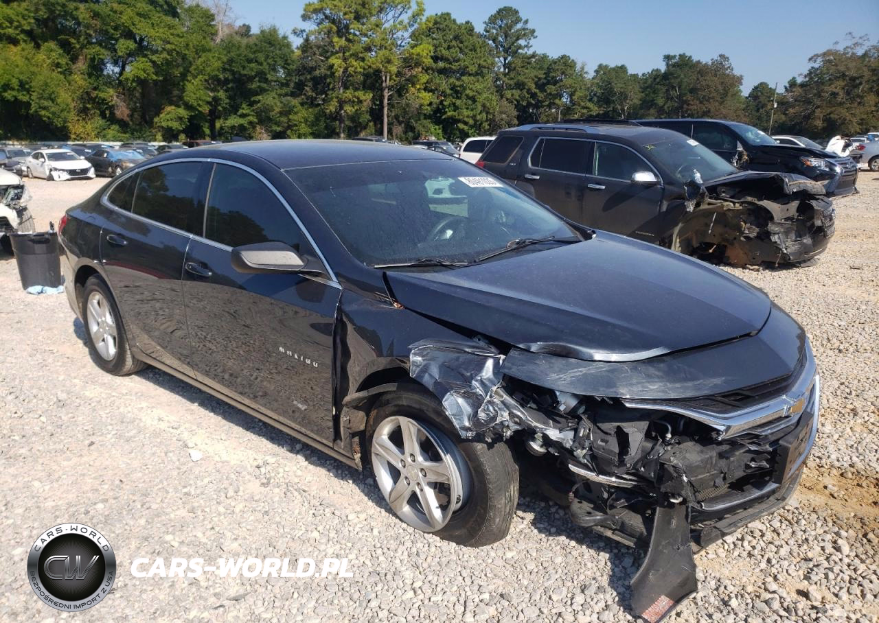 2019 Chevrolet Malibu Ls VIN:1G1ZB5ST3KF193467 - 4