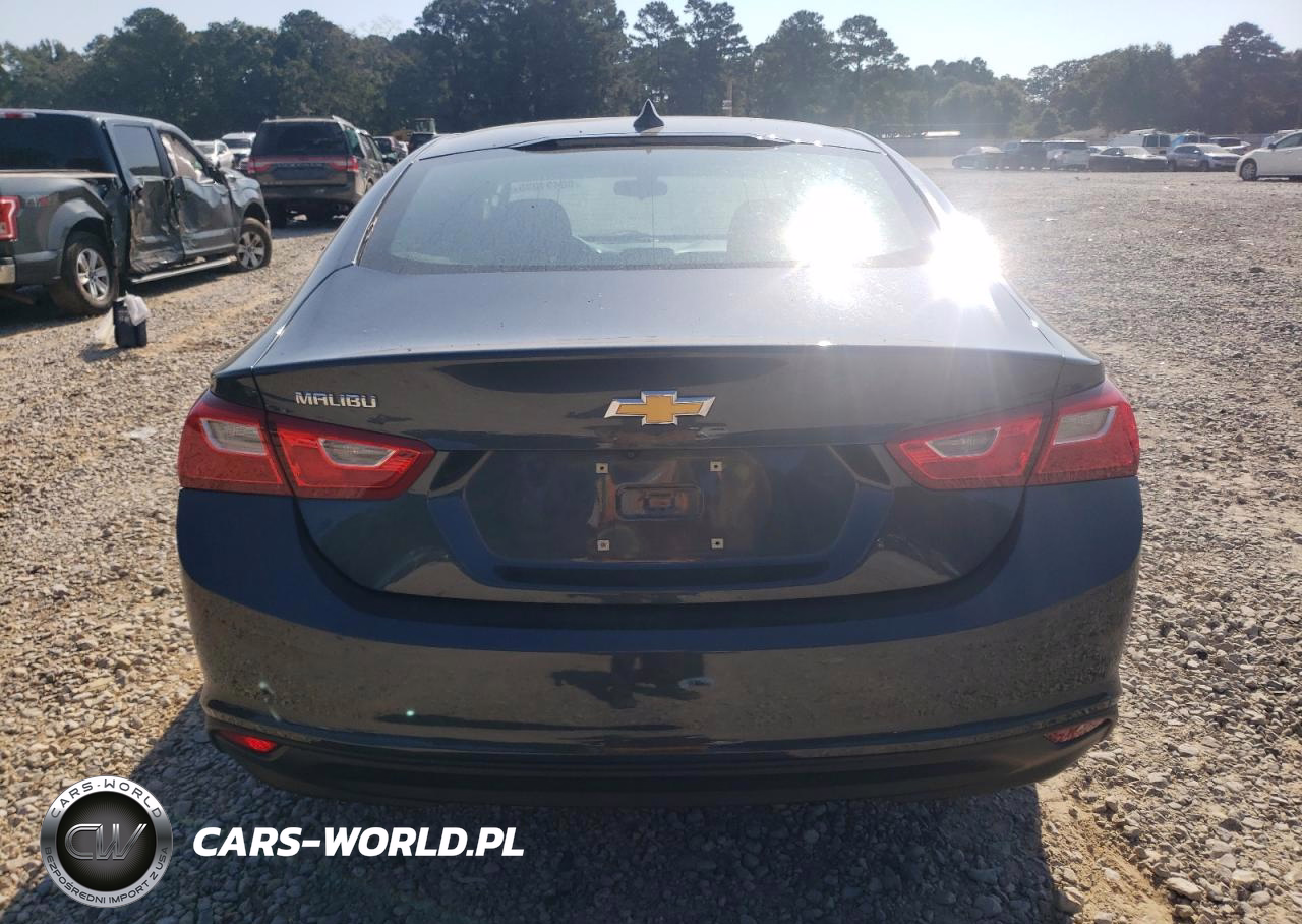 2019 Chevrolet Malibu Ls VIN:1G1ZB5ST3KF193467 - 6