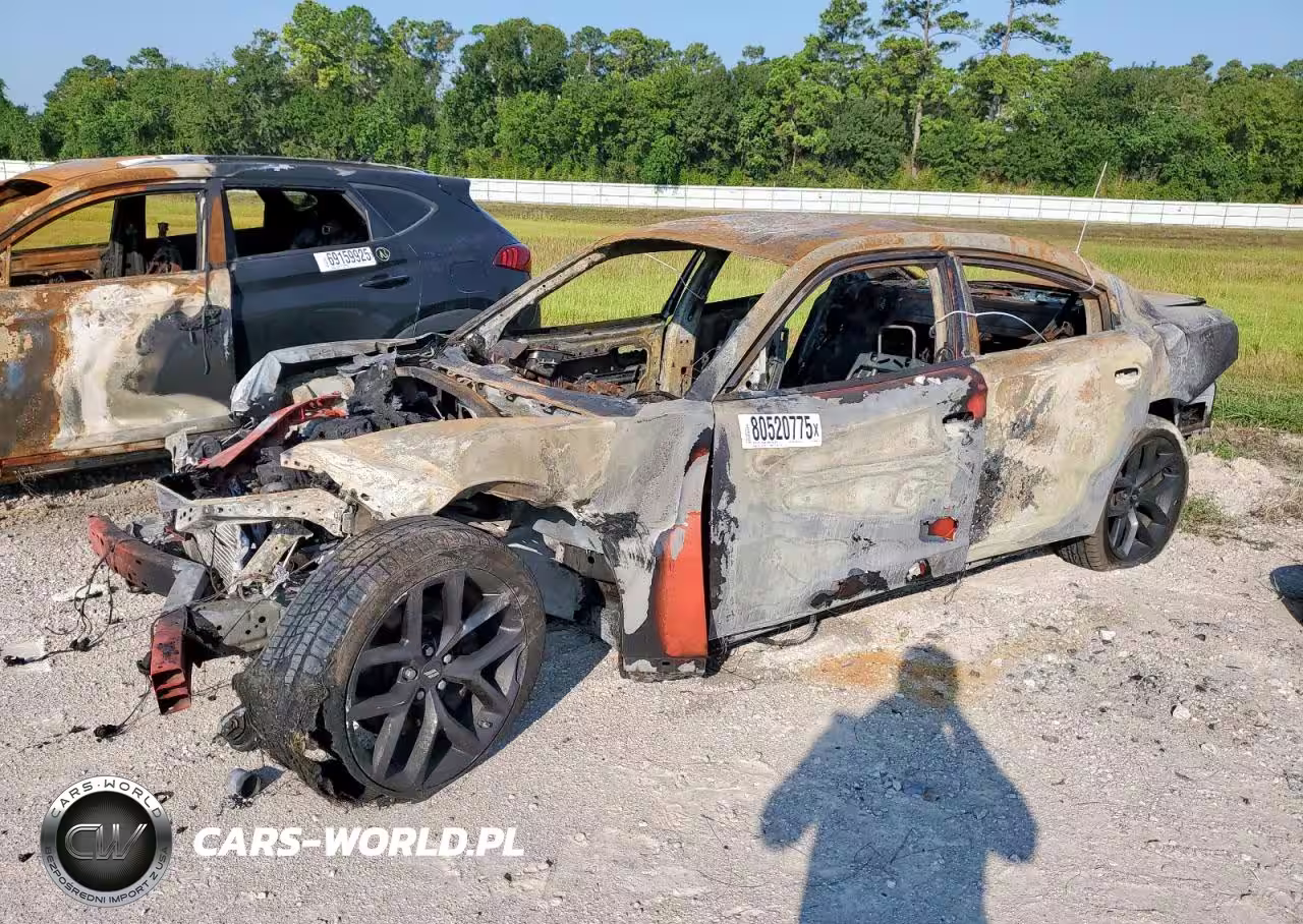 2019 Dodge Charger R