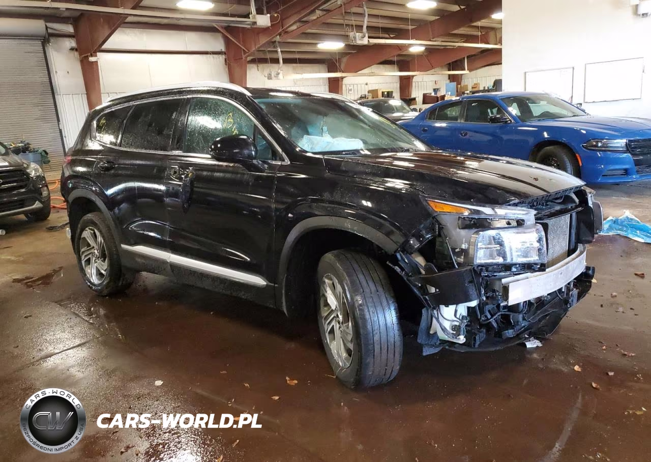 2021 Hyundai Santa Fe Sel VIN:5NMS2DAJXMH342093 - 4