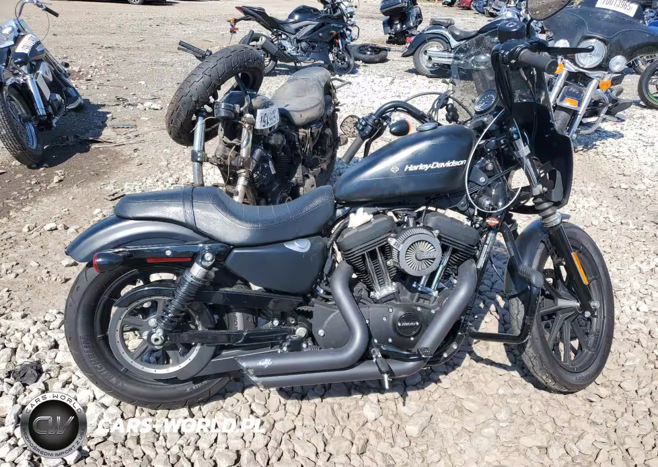 2021 Harley-Davidson Xl1200 Ns