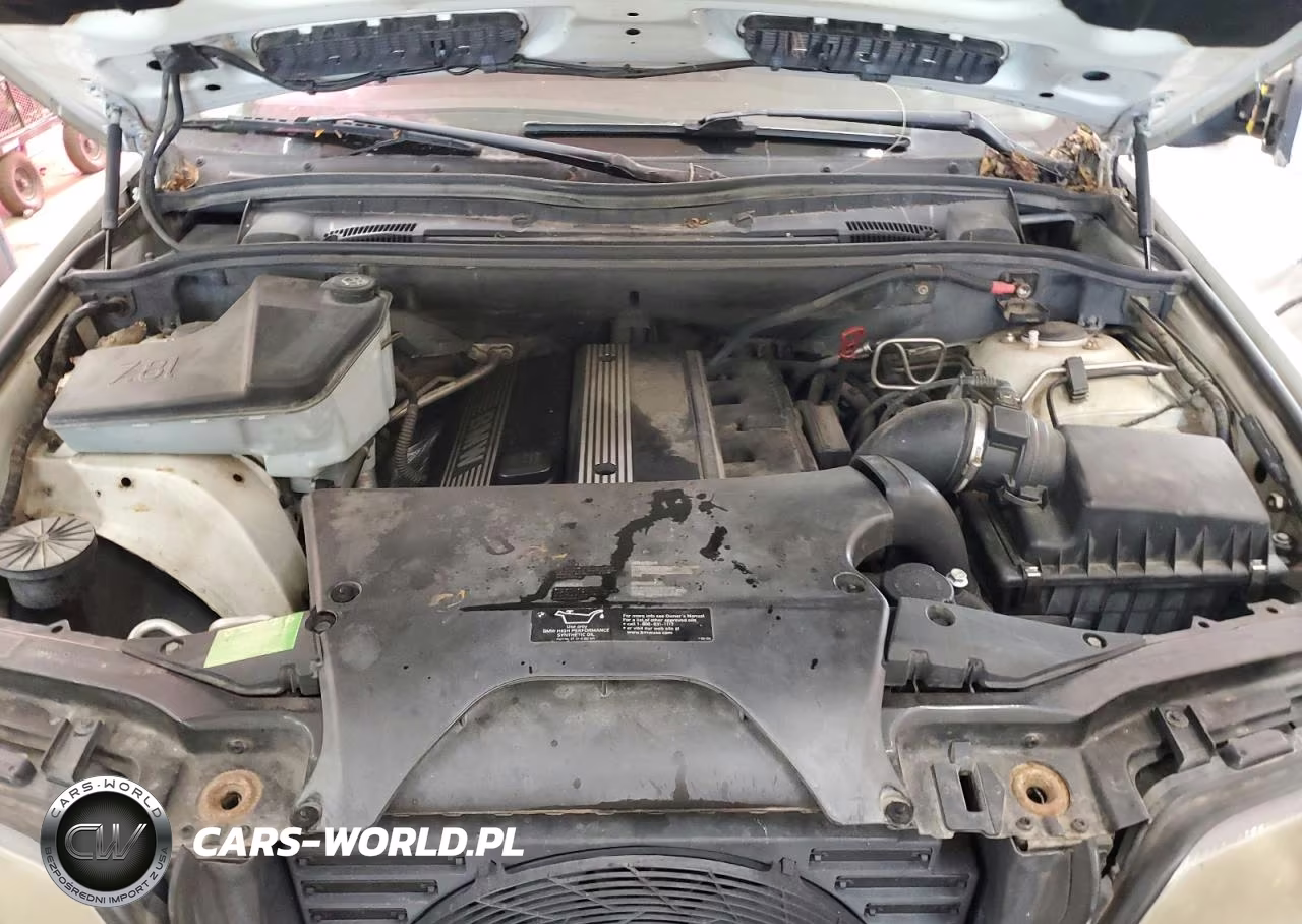 2002 BMW X5 3.0I VIN:5UXFA53532LP29007 - 12