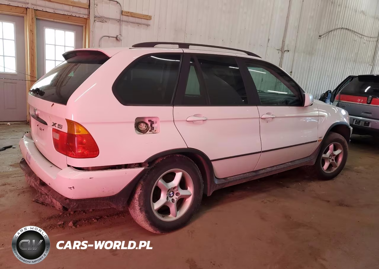 2002 BMW X5 3.0I VIN:5UXFA53532LP29007 - 3