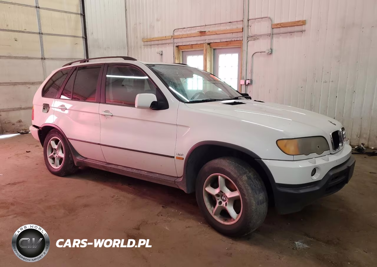 2002 BMW X5 3.0I VIN:5UXFA53532LP29007 - 4