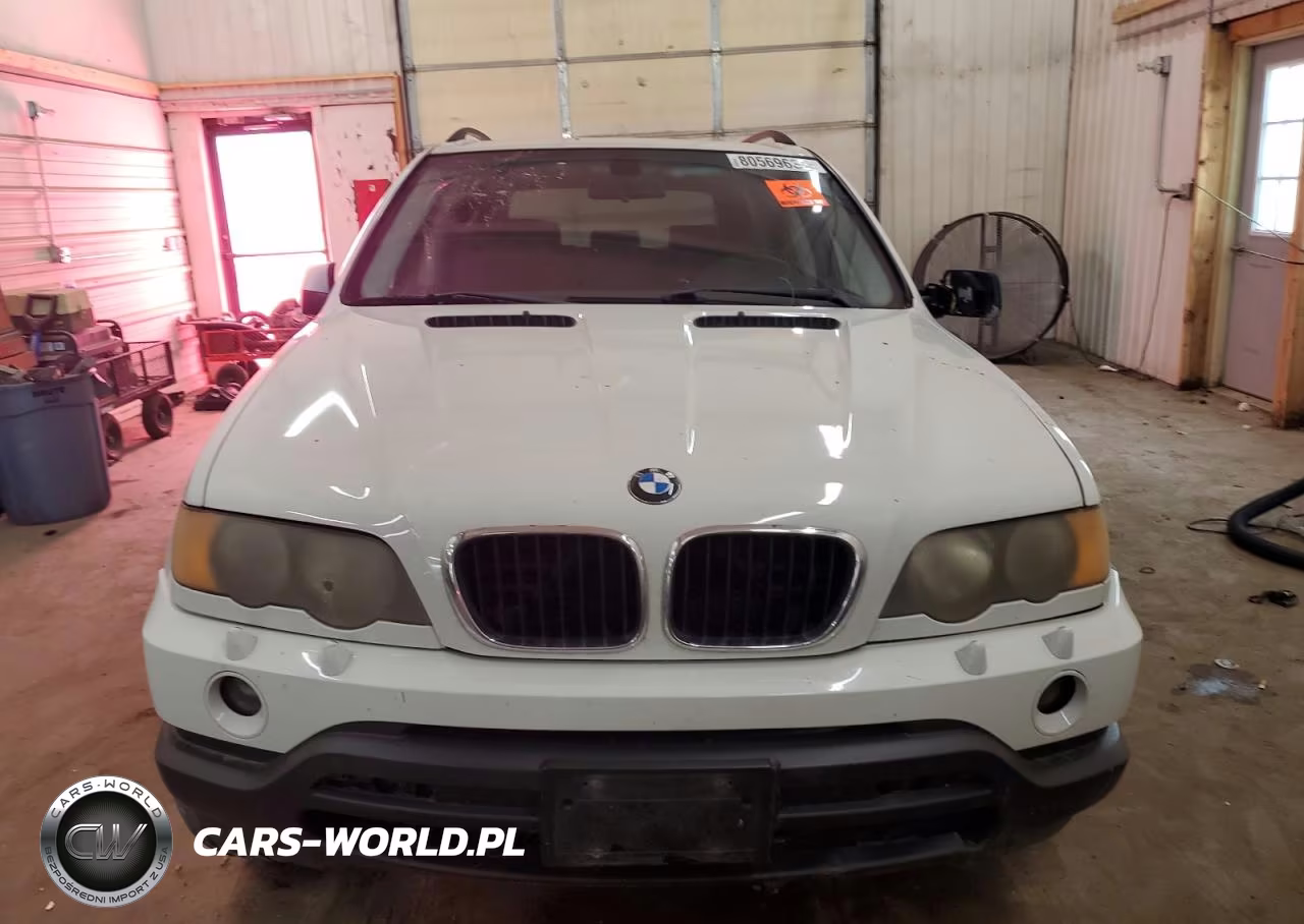 2002 BMW X5 3.0I VIN:5UXFA53532LP29007 - 5