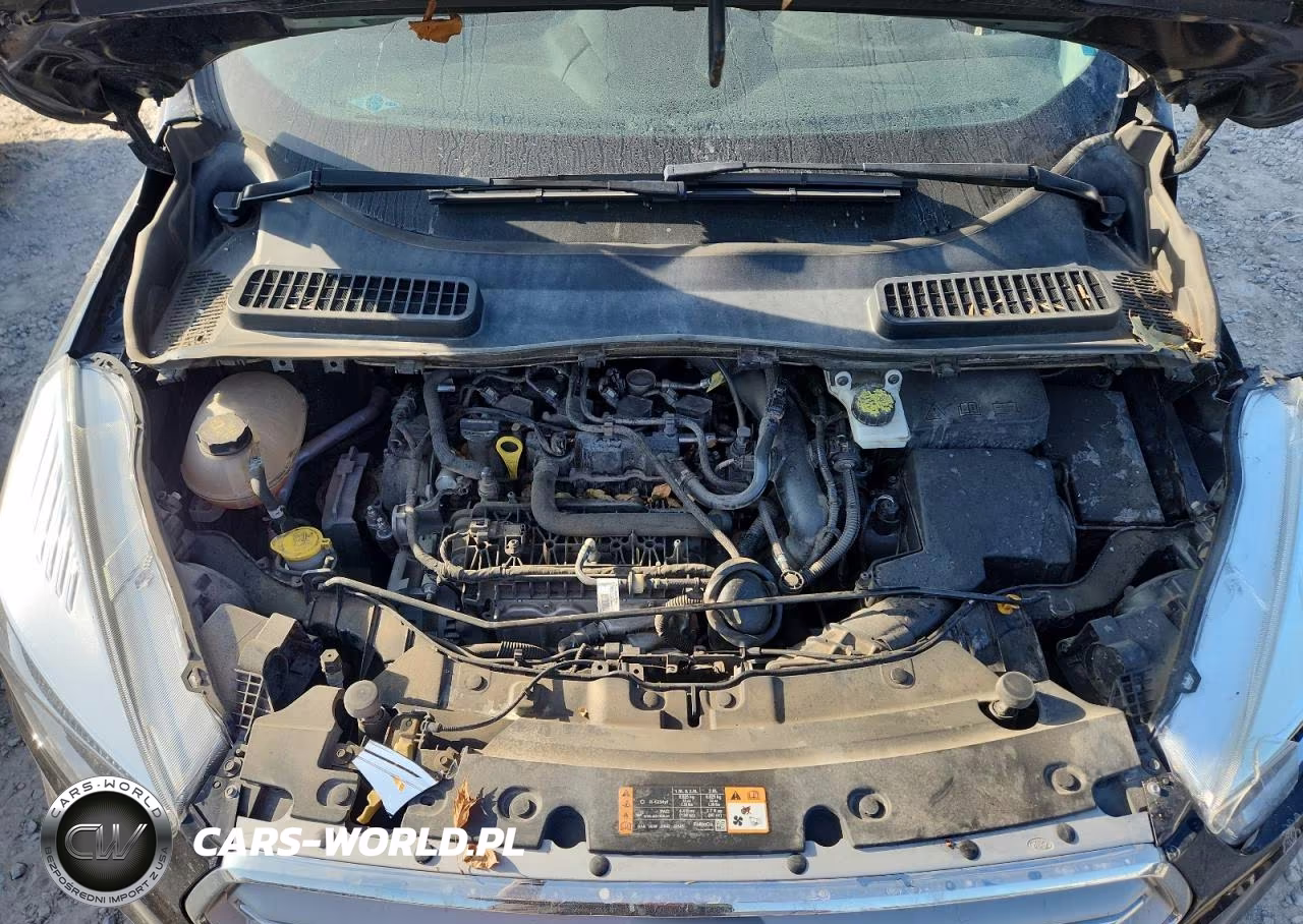 2019 Ford Escape Se VIN:1FMCU9GD5KUA19343 - 12