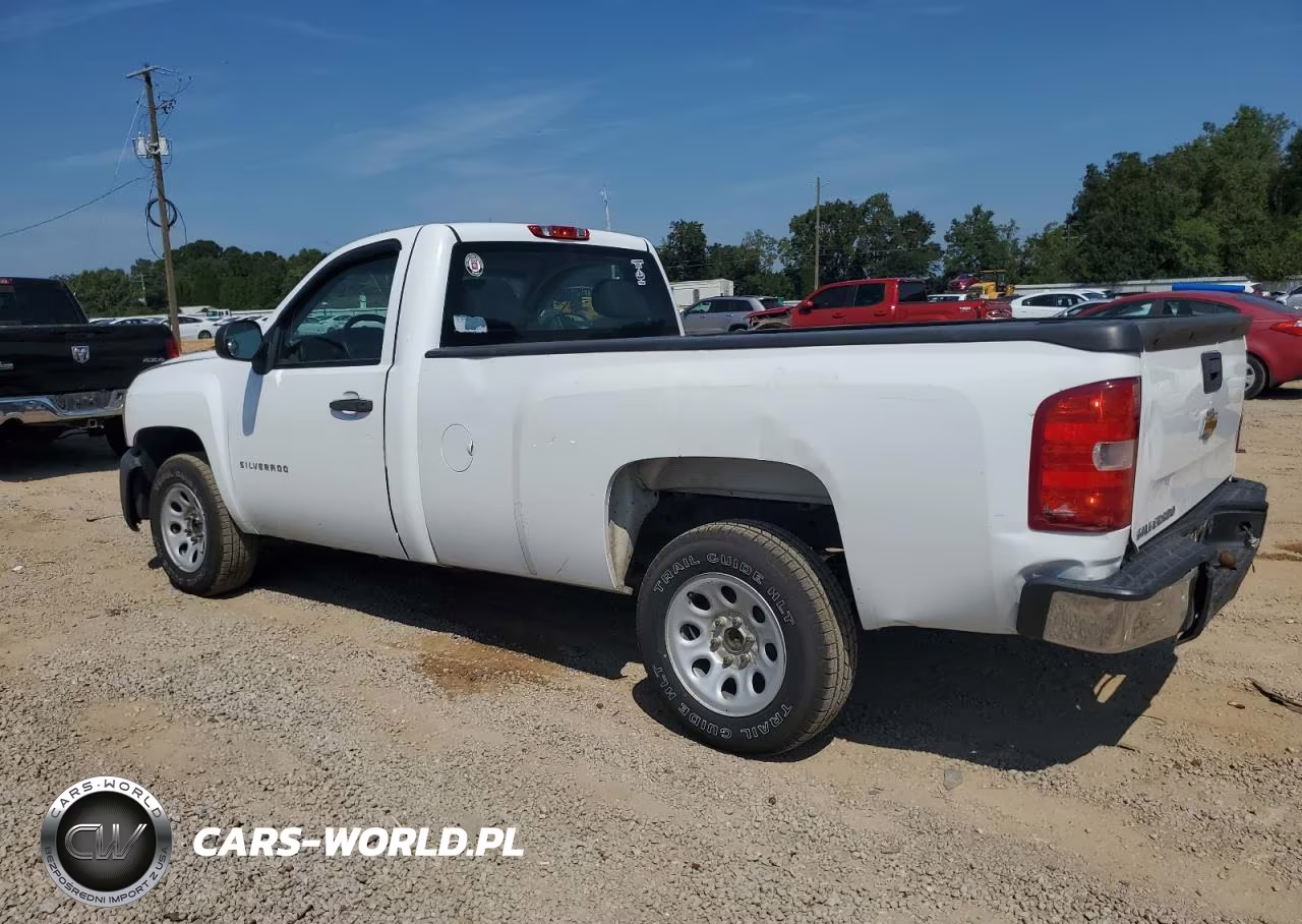 2013 Chevrolet Silverado C1500 VIN:1GCNCPEX4DZ175963 - 2