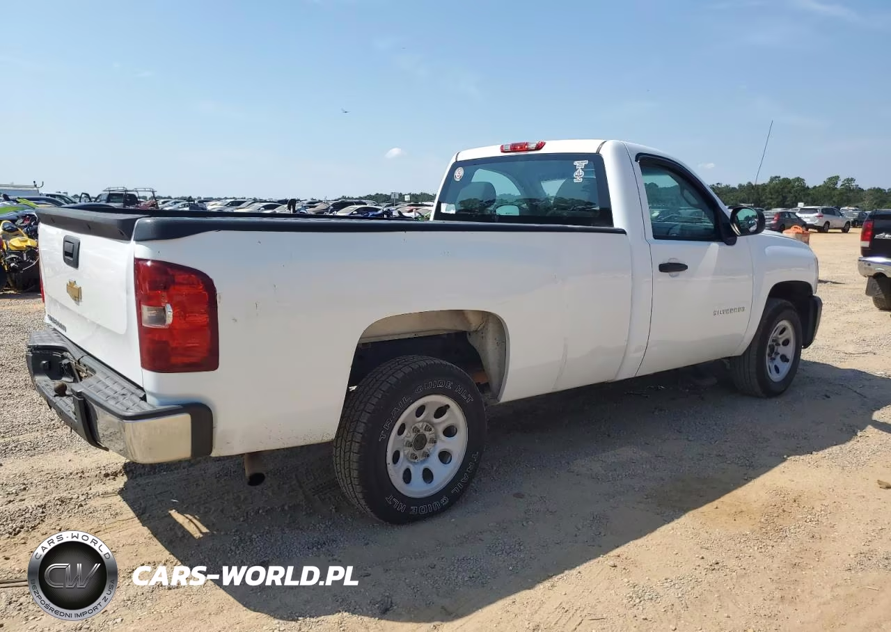 2013 Chevrolet Silverado C1500 VIN:1GCNCPEX4DZ175963 - 3