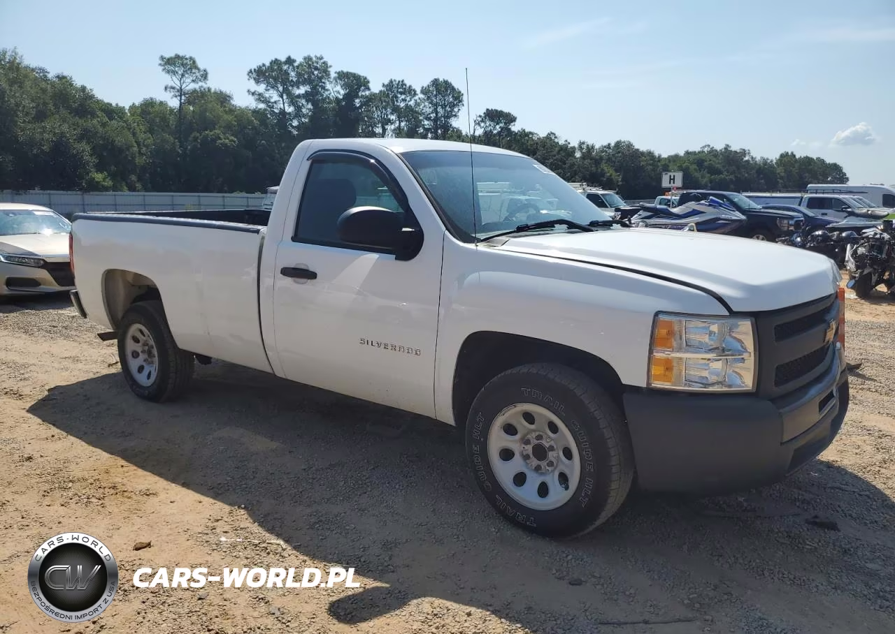 2013 Chevrolet Silverado C1500 VIN:1GCNCPEX4DZ175963 - 4