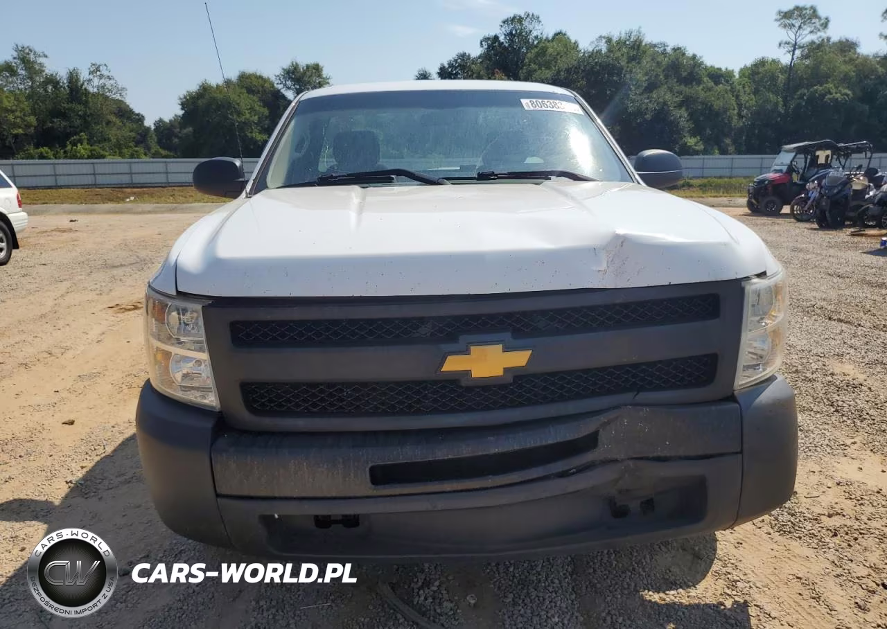2013 Chevrolet Silverado C1500 VIN:1GCNCPEX4DZ175963 - 5