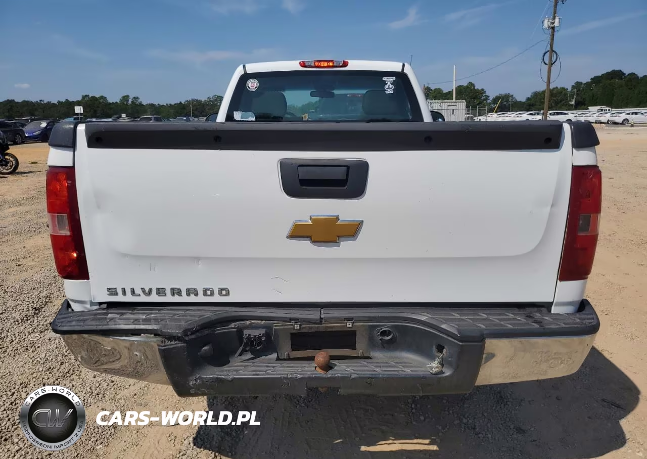 2013 Chevrolet Silverado C1500 VIN:1GCNCPEX4DZ175963 - 6