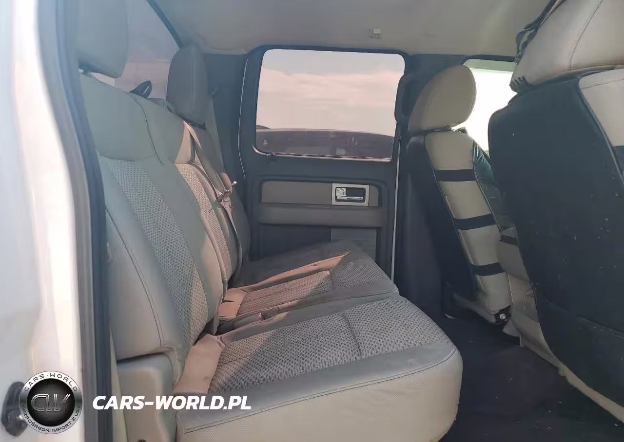 2010 Ford F150 Supercrew VIN:1FTFW1EV5AFC57818 - 10