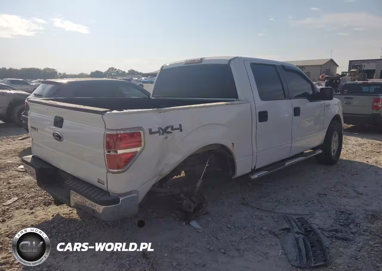 2010 Ford F150 Supercrew VIN:1FTFW1EV5AFC57818 - 3