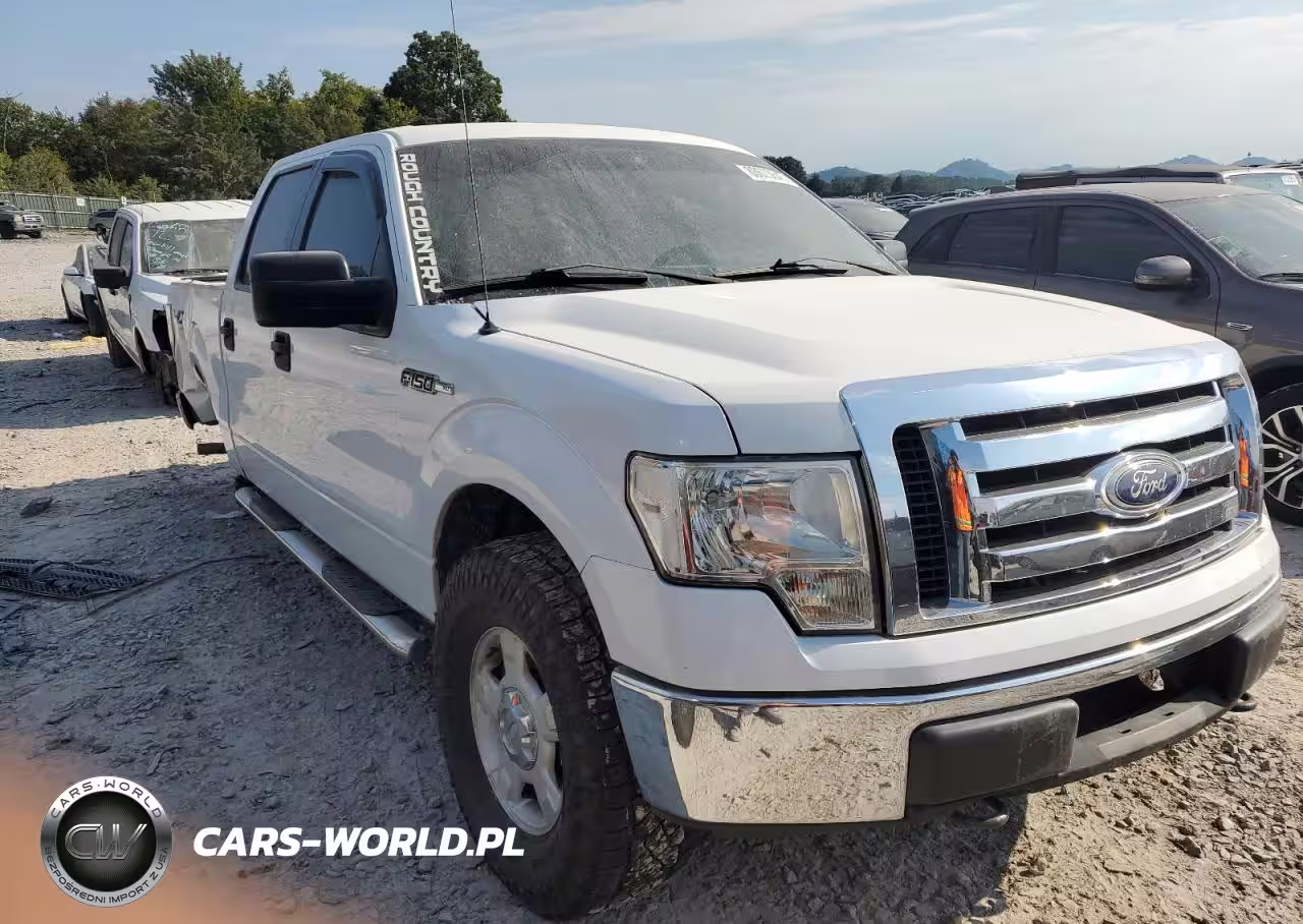 2010 Ford F150 Supercrew VIN:1FTFW1EV5AFC57818 - 4