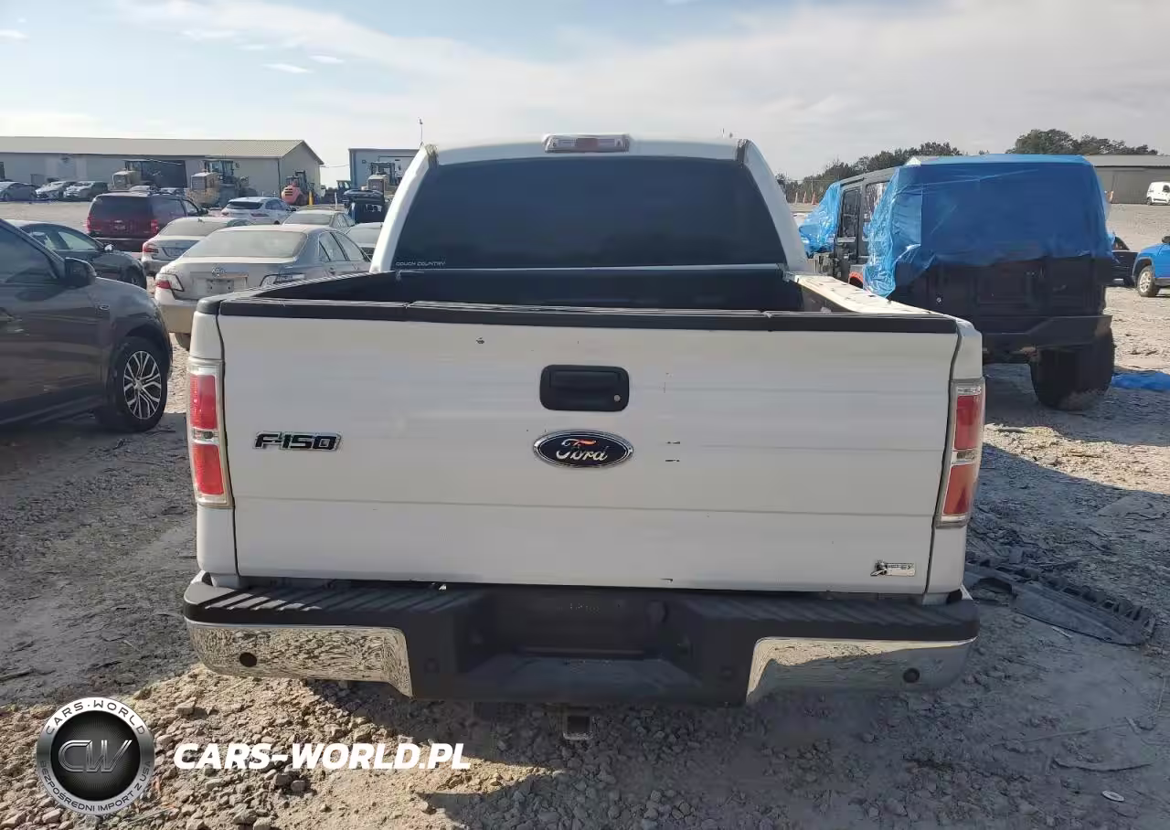 2010 Ford F150 Supercrew VIN:1FTFW1EV5AFC57818 - 6