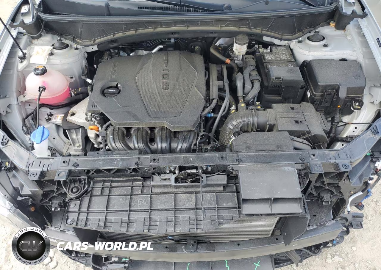 2024 Hyundai Tucson Limited VIN:5NMJECDE2RH329244 - 12