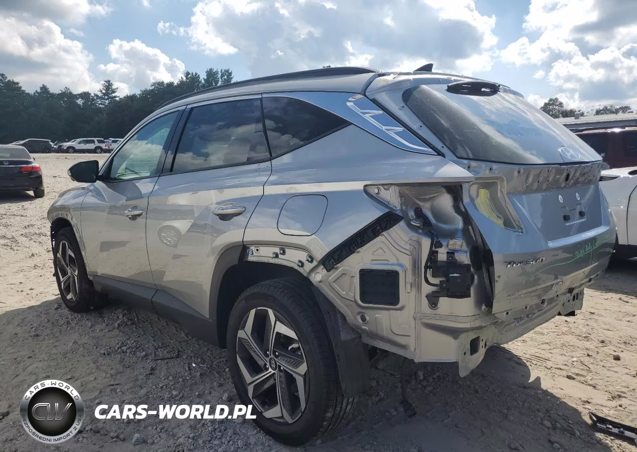 2024 Hyundai Tucson Limited VIN:5NMJECDE2RH329244 - 2