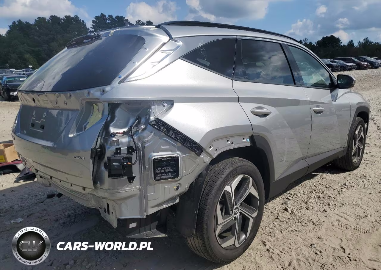 2024 Hyundai Tucson Limited VIN:5NMJECDE2RH329244 - 3