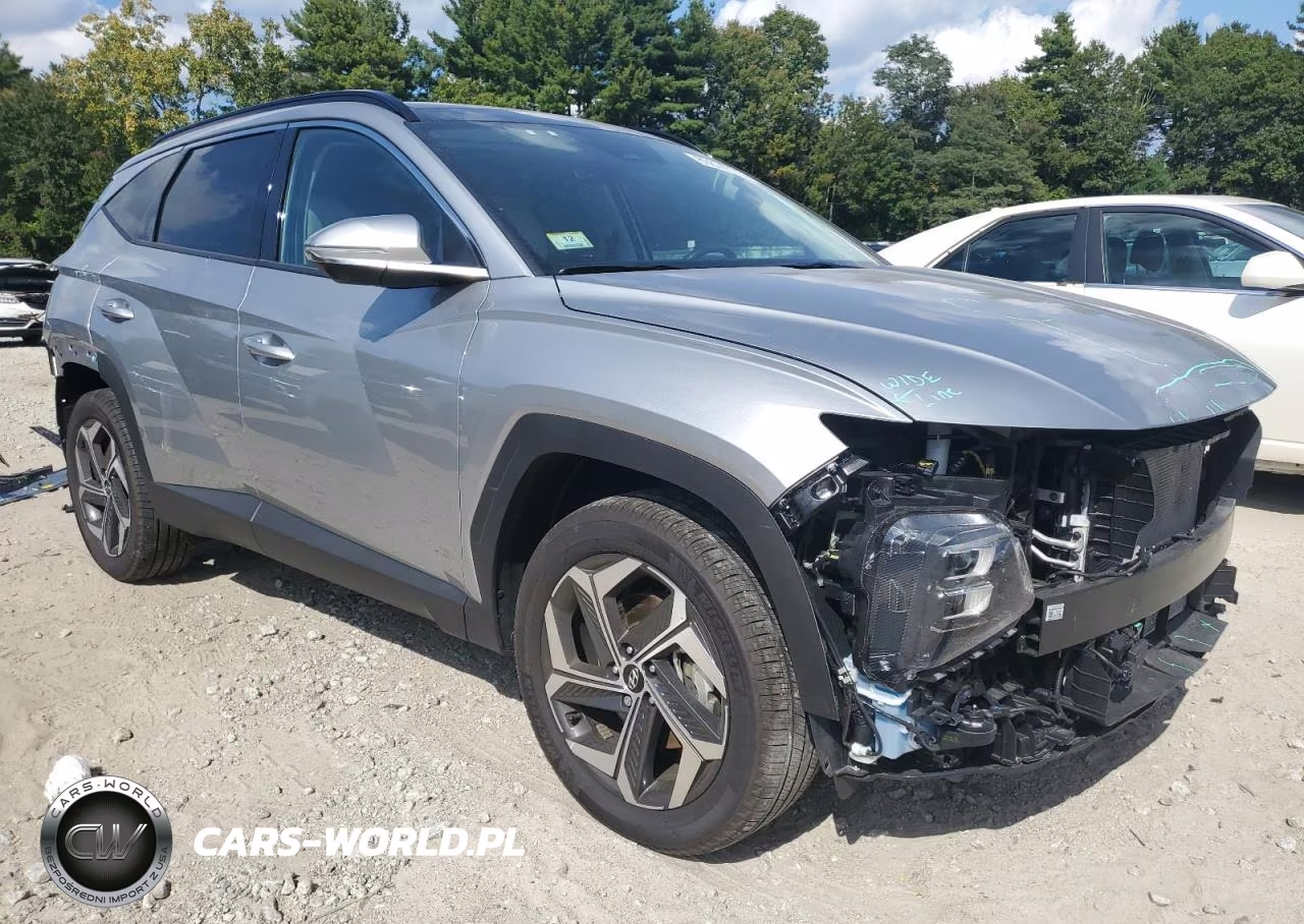 2024 Hyundai Tucson Limited VIN:5NMJECDE2RH329244 - 4