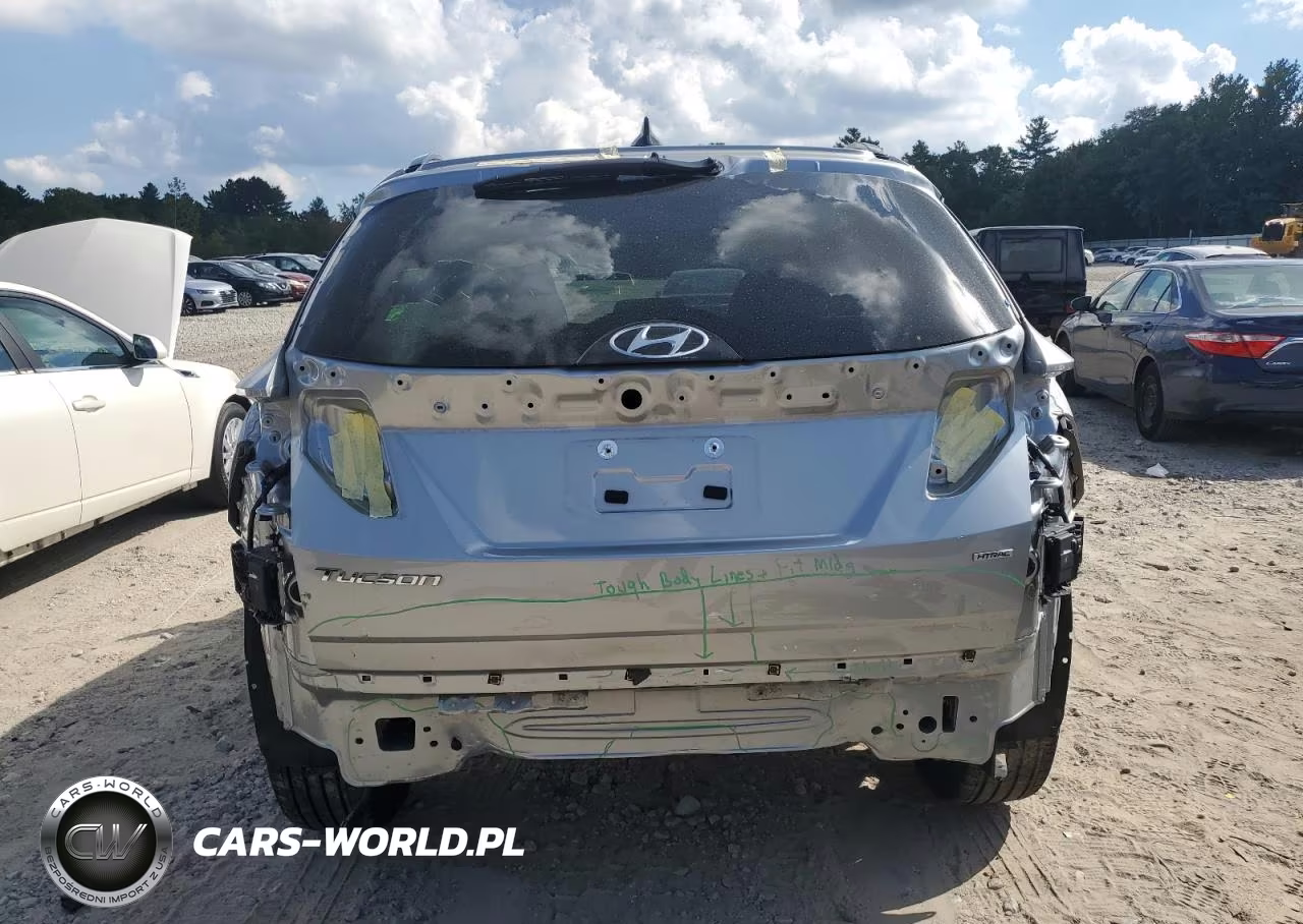 2024 Hyundai Tucson Limited VIN:5NMJECDE2RH329244 - 6